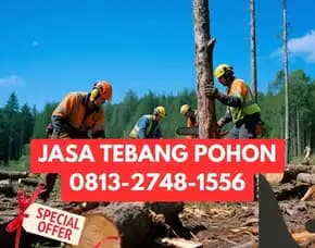 Jasa Tebang Pohon Minggir