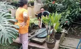 Sedot Wc Cileunca