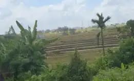 Dijual 6,5 Are, Jl. Raya Tangeb Munggu Kapal Buduk Mengwi Badung