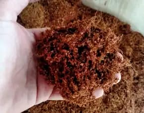 Toko Cocopeat Australia Untuk Media Tanam Ringan Di Kantor Bondowoso Malang Bea Fiber