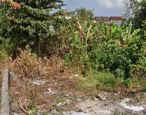 Dijual 2,1 Are, Jl. Buana Raya Gg. Buana Mekar Padangsambian Denpasar