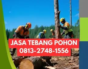 Jasa Tebang Pohon Kota Yogyakarta