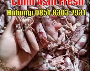 Fresh Segar, Jual Cumi Asin Baby Cumi Bandung