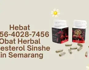 Hebat 0856-4028-7456 Obat Herbal Kolesterol Sinshe Zin Semarang