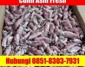 Fresh Segar, Jual Cumi Asin Baby Cumi Kota Bekasi