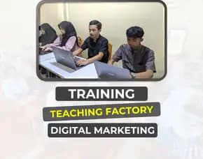 Bisakah Magang Web Development Tanpa Pengalaman Coding