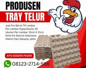 Supplier Peredam Telur (Tray Telor) Kirim Ke Langgudu Bima Ntt (11)