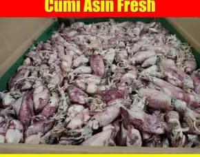 Fresh Segar, Jual Cumi Asin Baby Cumi Kota Depok