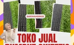 0896-5297-9519 (Bu Diana), Alamat Toko Rumput Sintetis Bengkulu Gading Cempaka
