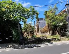 Dijual 2,34 Are, Jl. Kayu Tulang Selatan Canggu Kuta Utara
