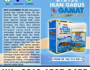 0812-1567-8455 Grosir Neo Albumino Plus Di Kalbar