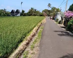 Dijual 72 Are, Jl. Batu Mejan Raya Denpasar Gilimanuk Pantai Balian Selemadeg Barat Tabanan