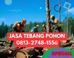 Jasa Tebang Pohon Depok