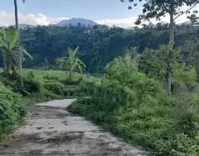 Jual Tanah Cocok Untuk Tempat Usaha Area Ciwalen Cianjur