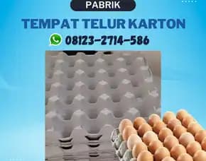 Peredam Telur Karton Pilihan Cerdas Kerambitan Tabanan Bali (14)