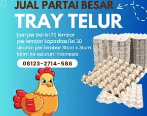 Pabrik Egg Tray (Tray Telur) Kirim Ke Monta Bima Ntt (1)