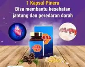Obat Asam Urat Sulawesi Selatan 081333350331 Obat Hipertensi Stroke Sulawesi Selatan