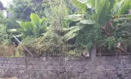 Dijual 1,57 Are, Jl. Lingga Bumi Perum Dalung Permai Dalung Kuta Utara