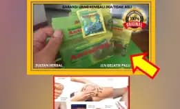 Wa: 0878-8005-8622 Obat Kolesterol Alami Tradisional Di Kota Palu