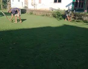 Jual Rumput Golf Trenggalek Termurah