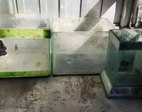 Jual Akuwarium