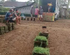 Jual Rumput Lapangan Sepak Bola Banjarnegara