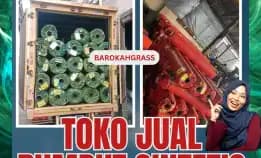 0896-5297-9519 (Bu Diana), Jual Rumput Sintetis Jambi Sumay