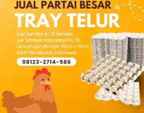 Distributor Baki Telur (Tray Telor) Kirim Ke Wera Bima Ntt (7)