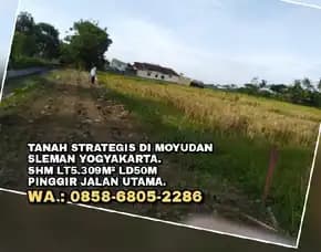 Tanah Strategis Di Moyudan Sleman Yogyakarta.Shm Lt5.309m² Ld50m Pinggir Jalan Utama