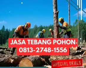 Jasa Tebang Pohon Gamping