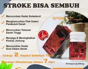 Sehat Alami 🌱 0856-4028-7456 Jual Obat Herbal Hipertensi Semarang Sinshe Zin