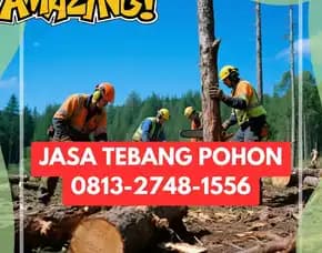 Jasa Tebang Pohon Ngampilan