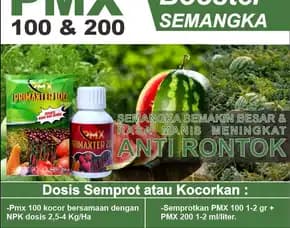 Pupuk Primaxter 100 & 200 - Booster Semangka