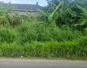 Dijual 2 5 Are, Jl. Raya Kaba Kaba Raya Buwit Kediri Tabanan