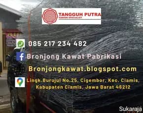 Diskon !!! Harga Jual Bronjong Kawat Sni Di Bantan, Riau