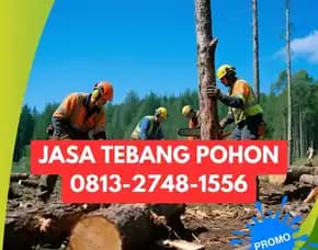 Jasa Tebang Pohon Sleman