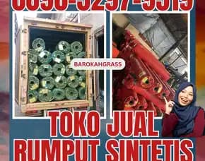 0896-5297-9519 (Bu Diana), Tempat Jual Rumput Sintetis Aceh Subulussalam Longkib
