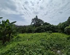 Dijual 2 Are, Jl. Pandu Pengilian Padonan Tibubeneng Dalung Kuta Urara