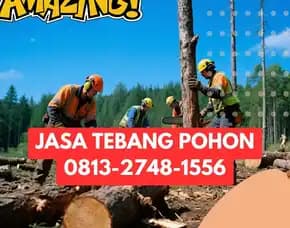 Jasa Tebang Pohon Pakualaman
