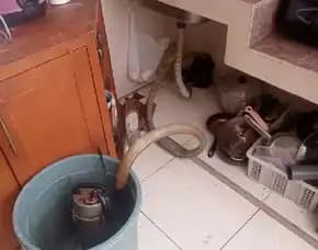 Ahli Atasi Wc Mampet