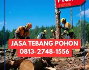 Jasa Tebang Pohon Nglipar