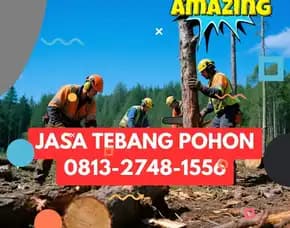 Jasa Tebang Pohon Mantrijeron