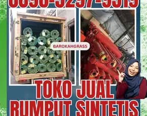 Wa 0896-5297-9519, Tempat Beli Rumput Sintetis Padang Kab. Kepulauan Mentabu Dianai