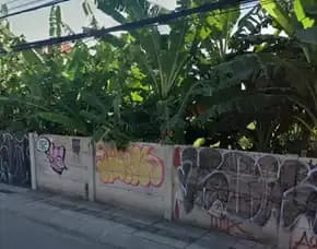 Dijual 27,5 Are, Jl. Padang Linjong Pantai Batu Mejan Canggu Kuta Utara