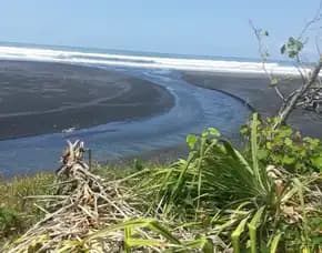 Tanah Los Pantai Selabih Selemadeg Tabanan Bali
