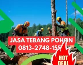 Jasa Tebang Pohon Kalibawang