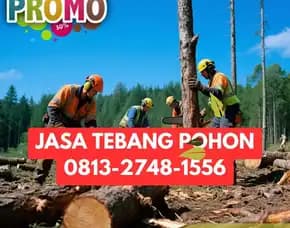 Jasa Tebang Pohon Nanggulan